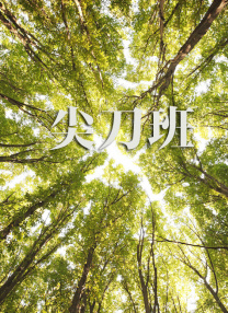 五月天婷婷亚洲
